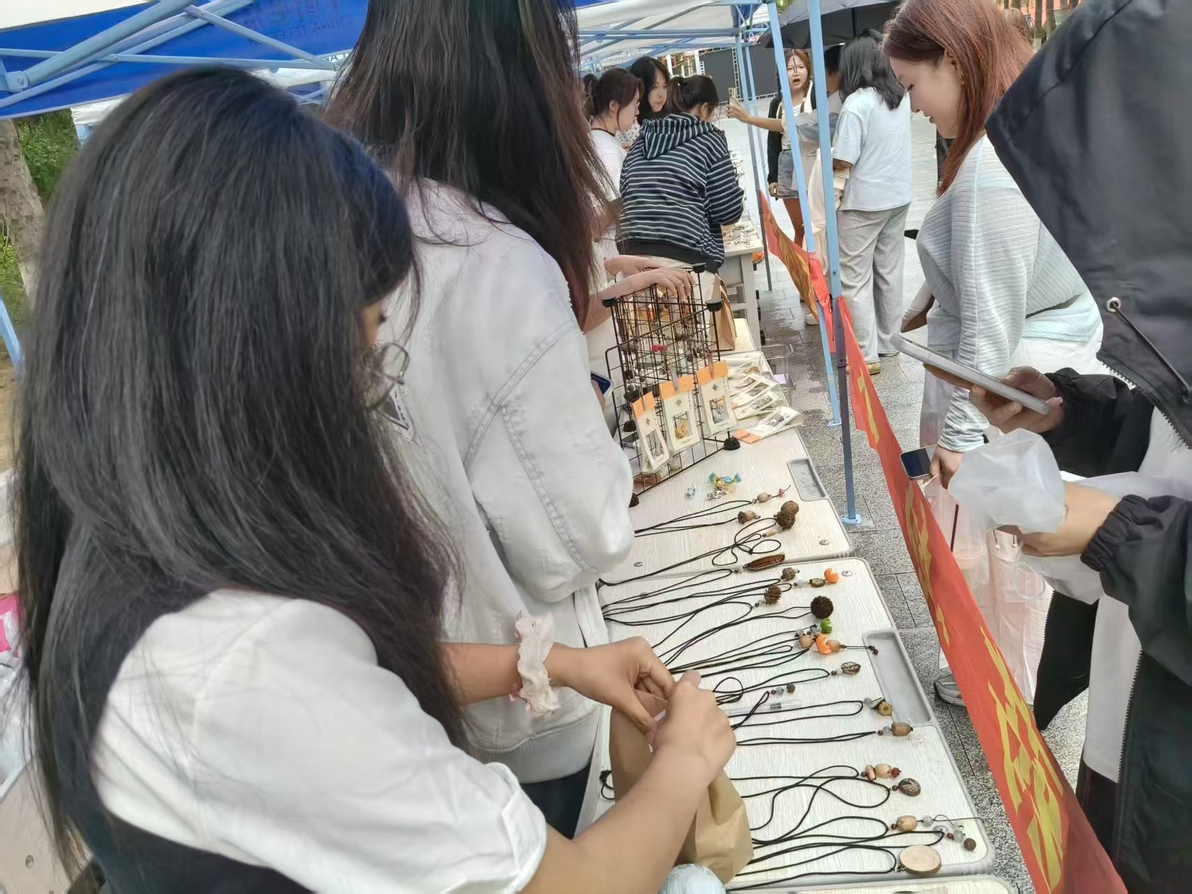 中药材辨识活动