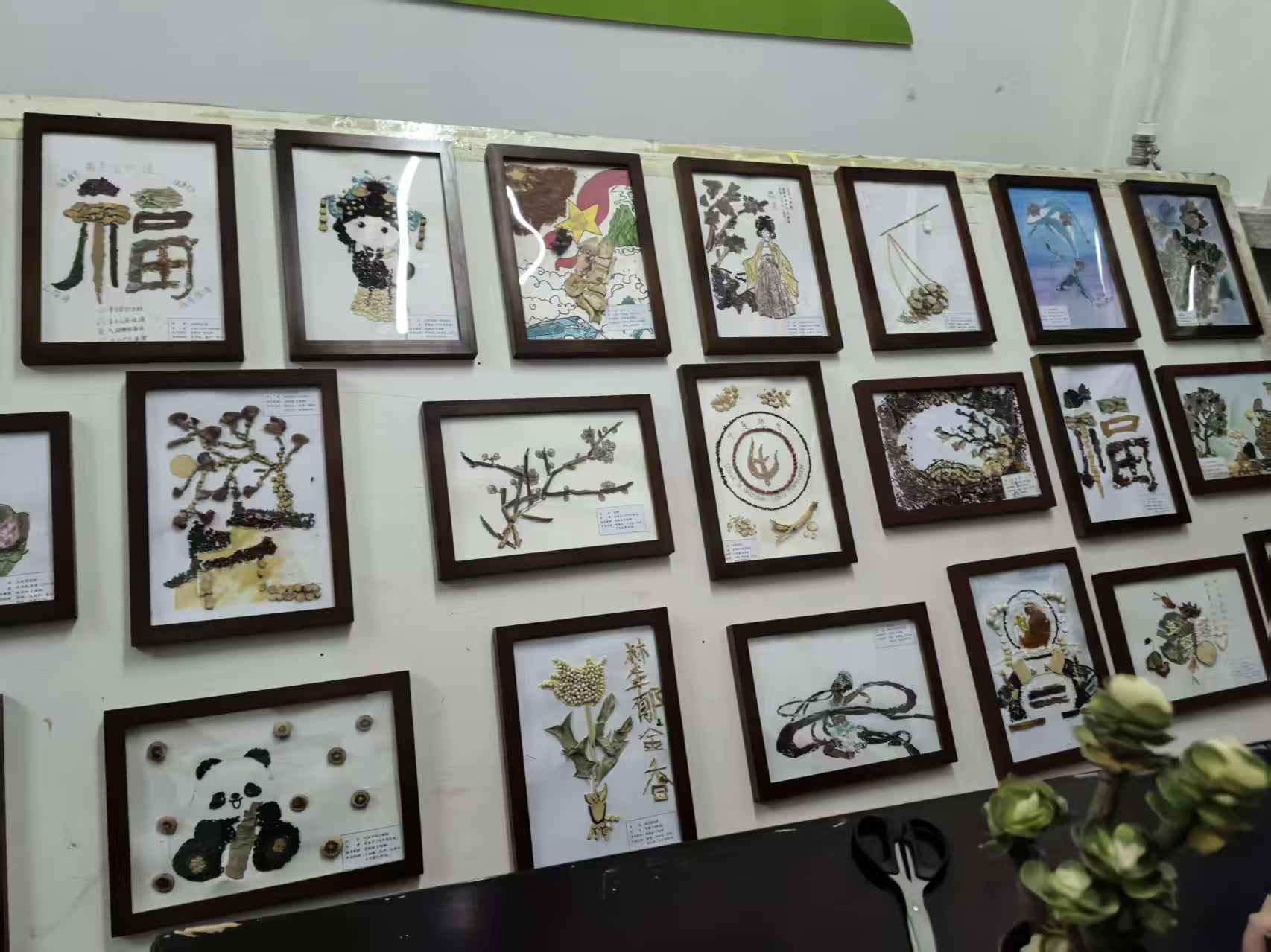 中药材标本拼贴画